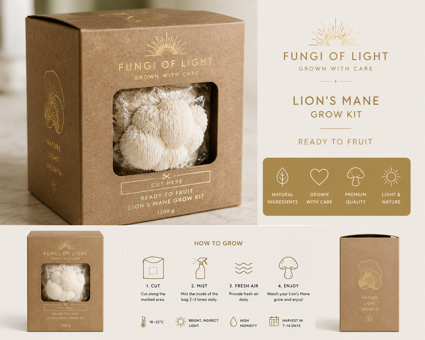 Fungi of Light - Premium Lion's Mane Grow Kit