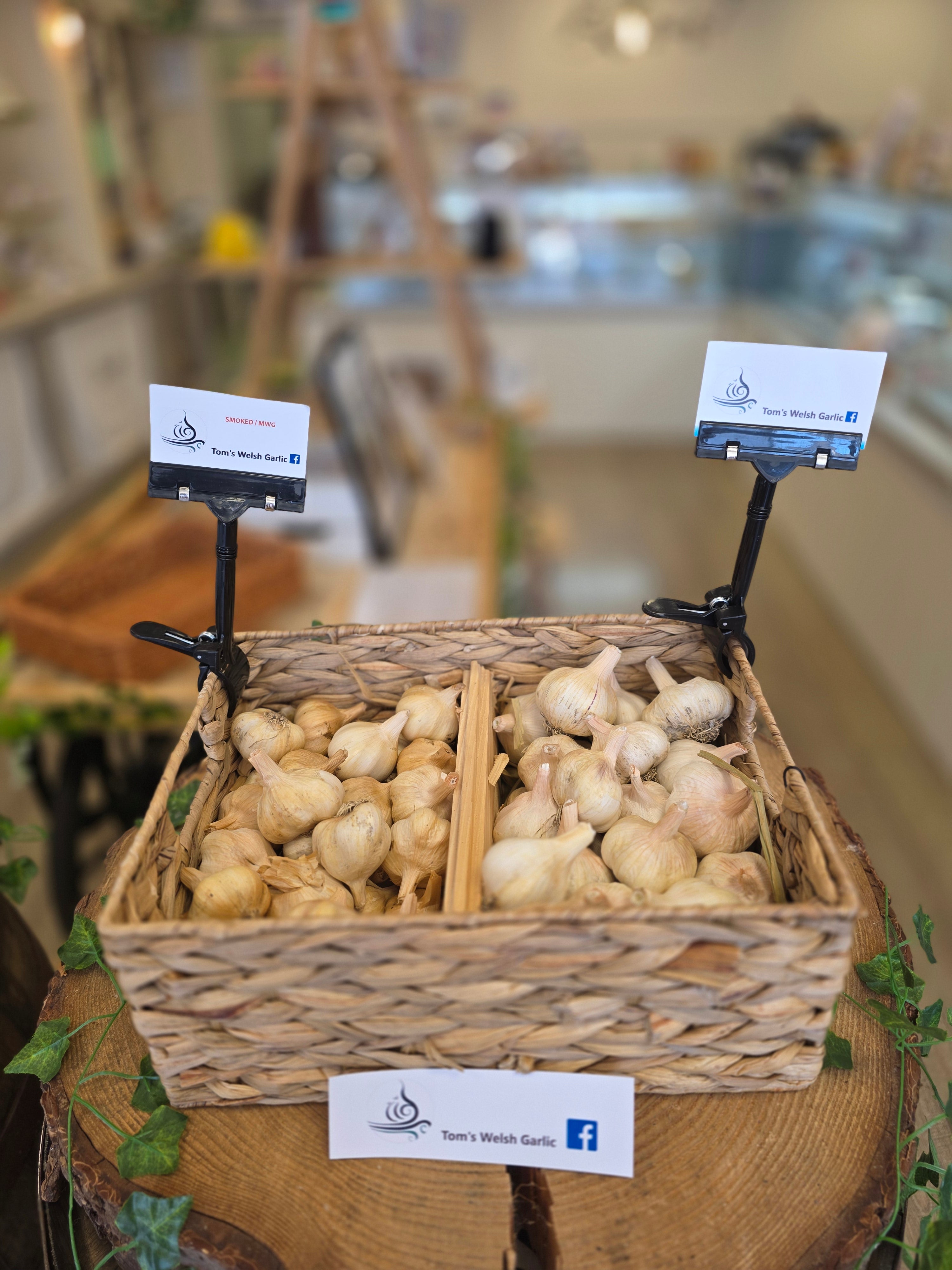 Blasus - Welsh Garlic (bulb)