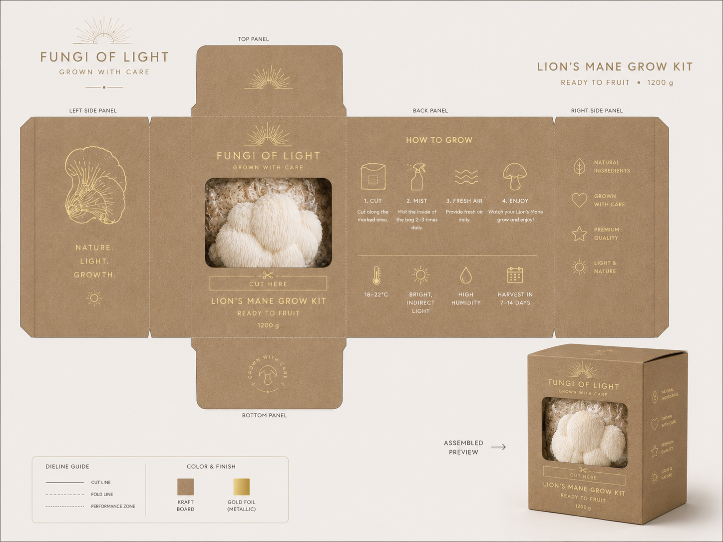 Fungi of Light - Premium Lion's Mane Grow Kit
