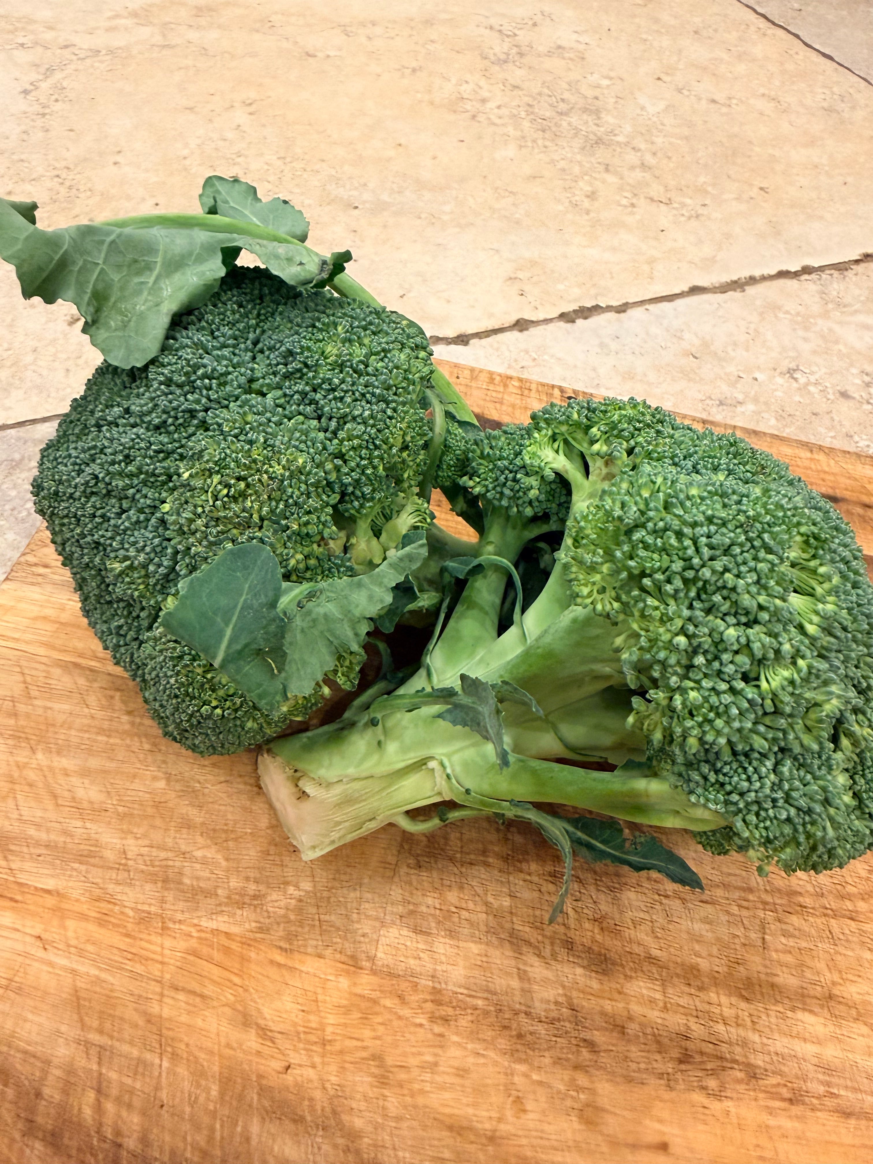 Fresh Local Broccoli Head