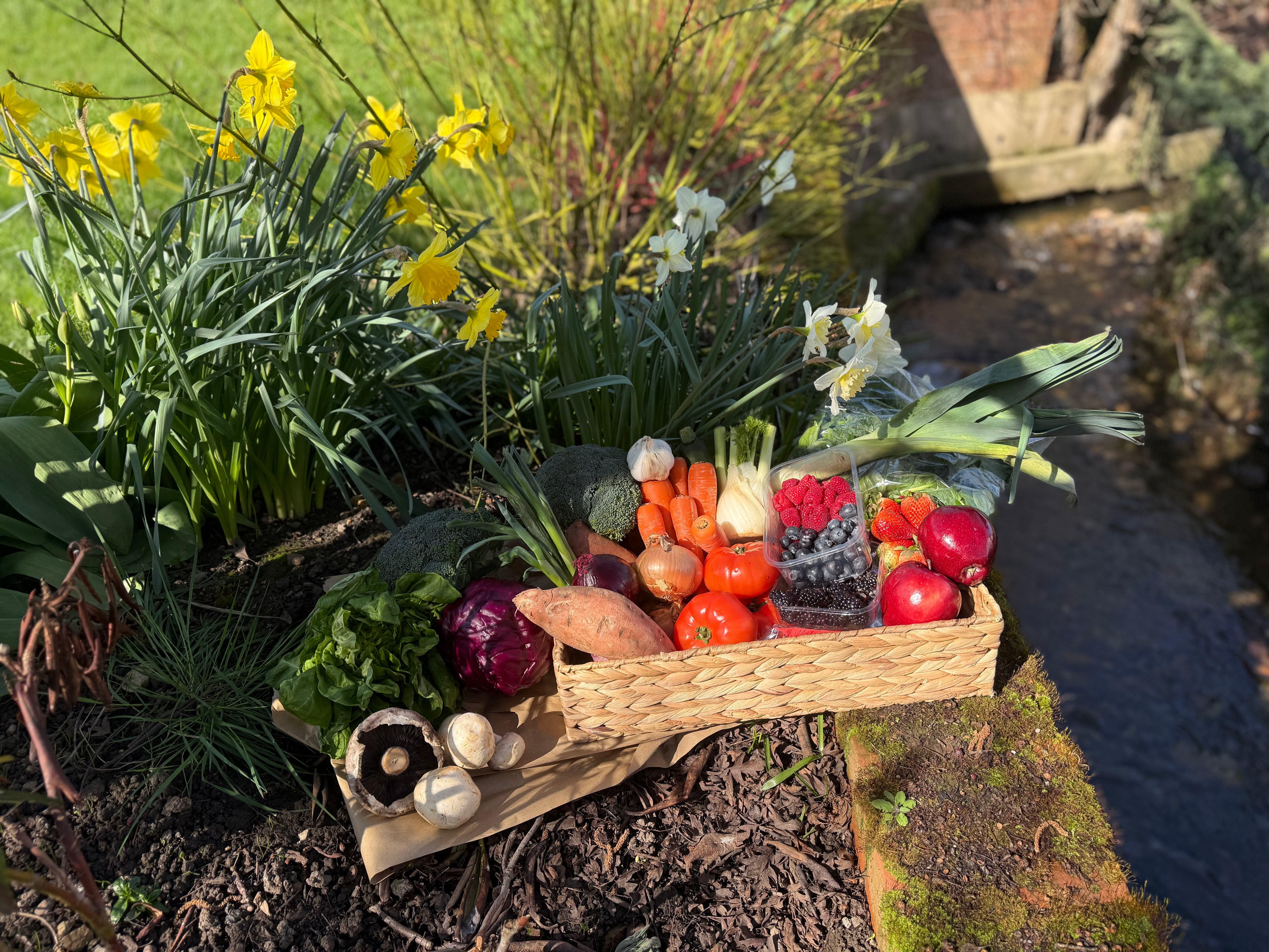 Seasonal Fruit & Veg Box