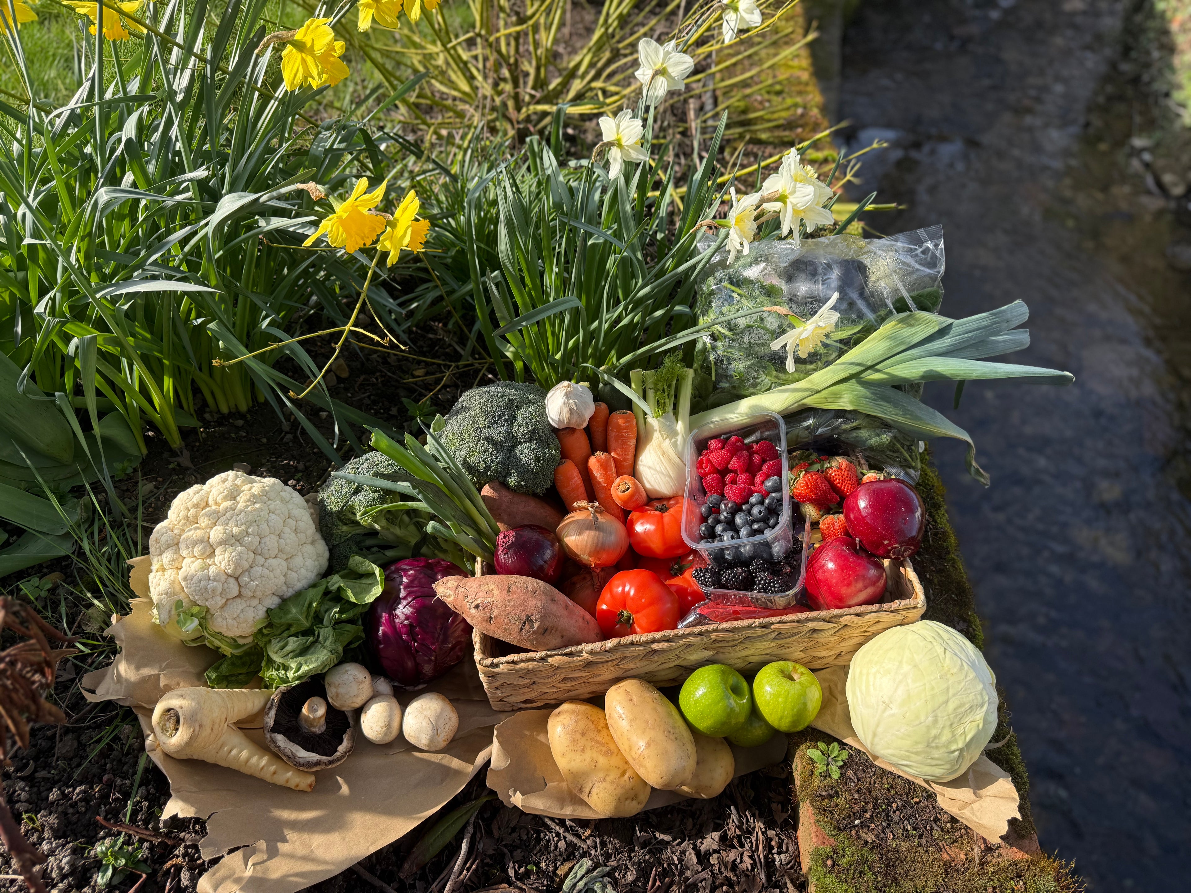 Seasonal Fruit & Veg Box