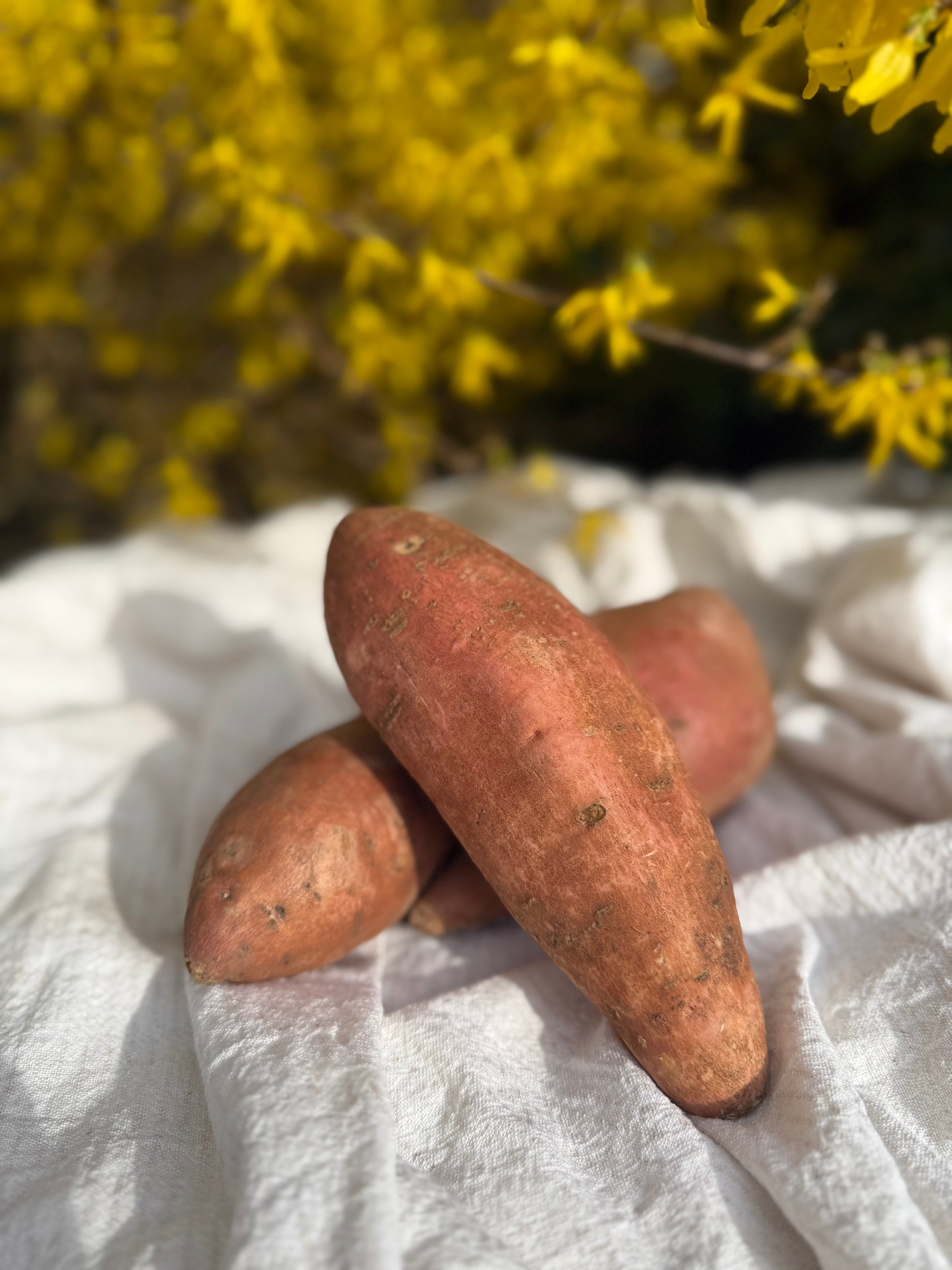 Fresh Local Sweet Potato