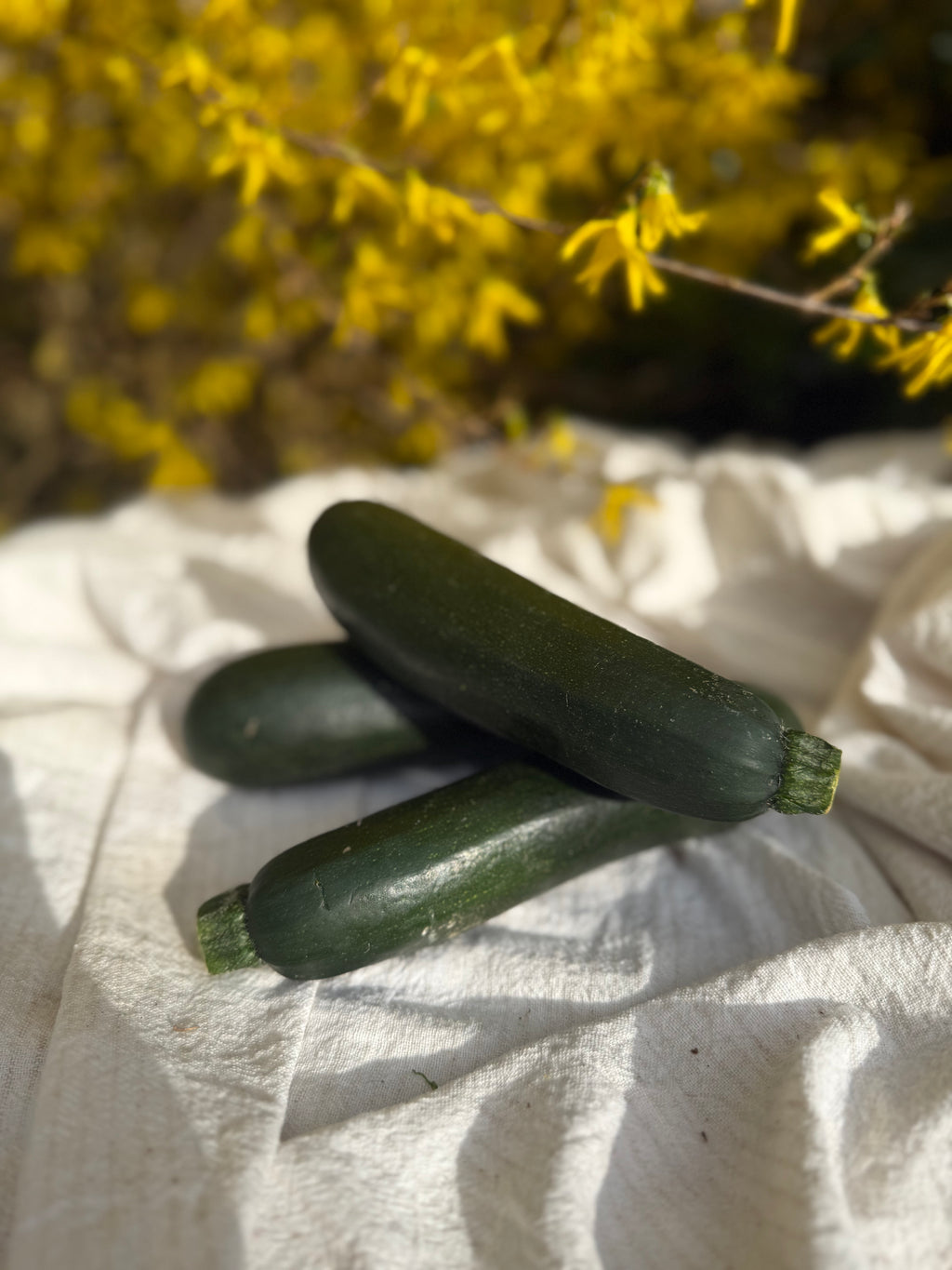 Courgette