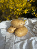 4 Fresh Local Potatoes