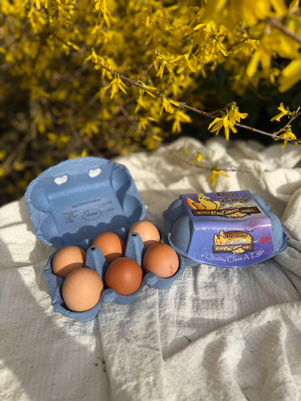 Fresh Local Eggs