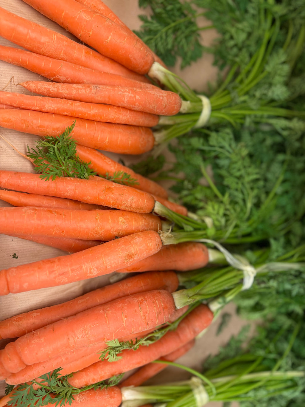 Fresh Local Carrots Bunch of 5