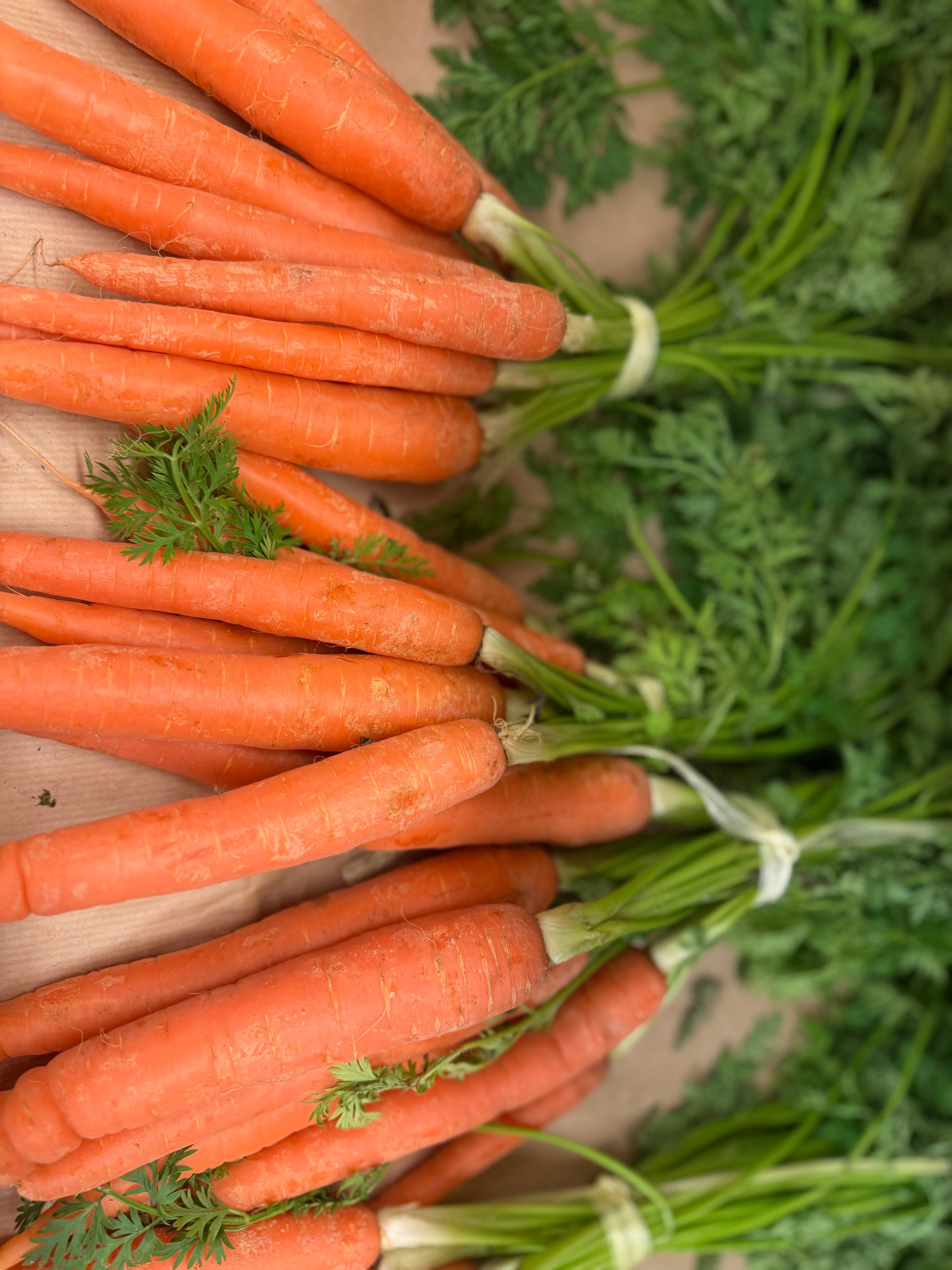Fresh Local Carrots Bunch of 5