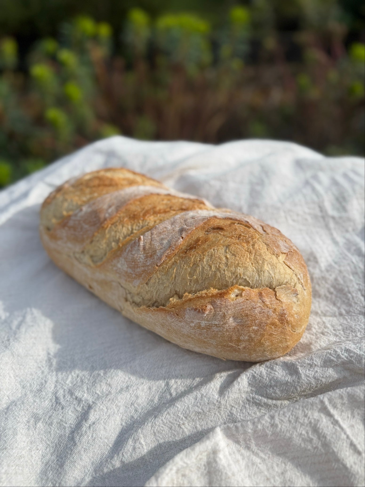 Fresh Local Bread (750g)